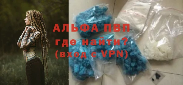 гашик Коряжма