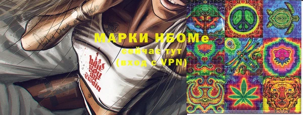 гашик Коряжма