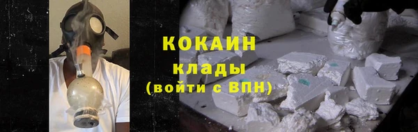 гашик Коряжма