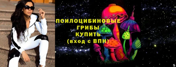 гашик Коряжма